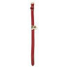 Generique Collier et Laisse Sclave Rouge